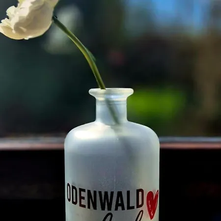 Odenwaldliebe דירה
