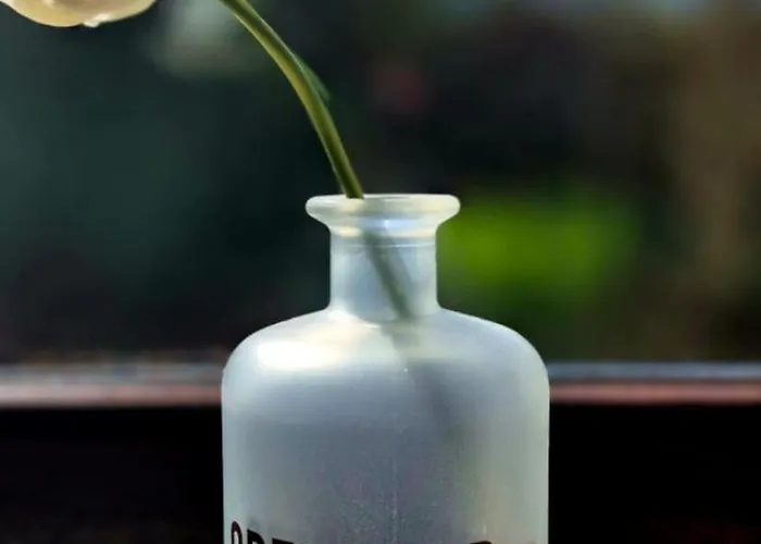 Odenwaldliebe Apartment